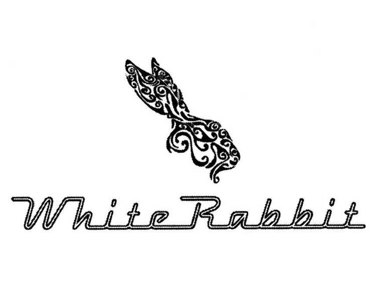    White Rabbit   